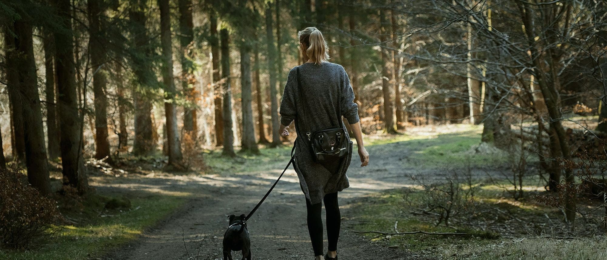 Promeneur de chien au coucher du soleil en Suisse