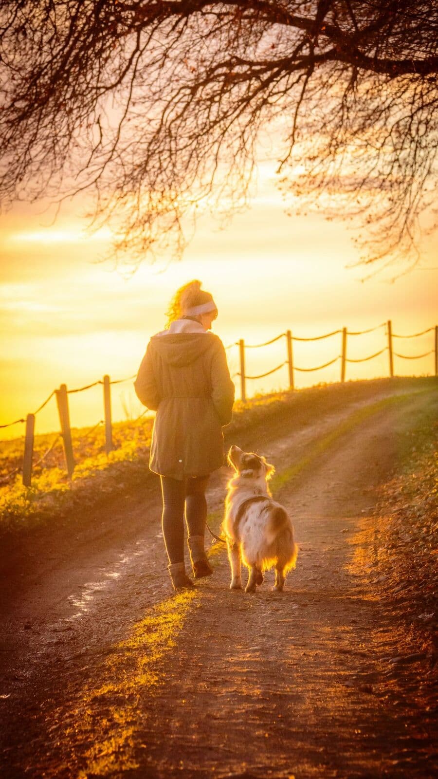 Une promeneuse et son chien sur un chemin au coucher du soleil